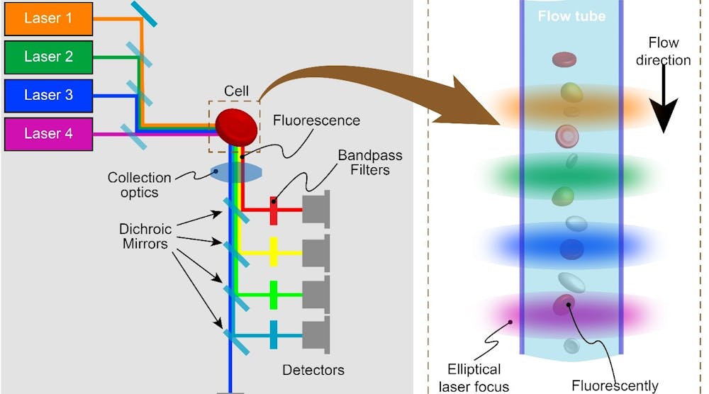 FIGURE 1. In a flow cytometer, fluorescently labeled cells pass single-file in a flow stream and are illuminated by several different laser wavelengths. The resulting fluorescence is detected after separation into different wavelength bands.