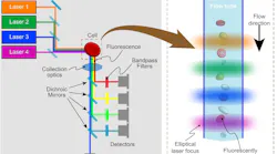 FIGURE 1. In a flow cytometer, fluorescently labeled cells pass single-file in a flow stream and are illuminated by several different laser wavelengths. The resulting fluorescence is detected after separation into different wavelength bands.