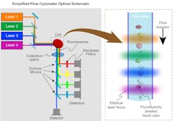 FIGURE 1. In a flow cytometer, fluorescently labeled cells pass single-file in a flow stream and are illuminated by several different laser wavelengths. The resulting fluorescence is detected after separation into different wavelength bands. FIGURE 1. In a flow cytometer, fluorescently labeled cells pass single-file in a flow stream and are illuminated by several different laser wavelengths. The resulting fluorescence is detected after separation into different wavelength bands.