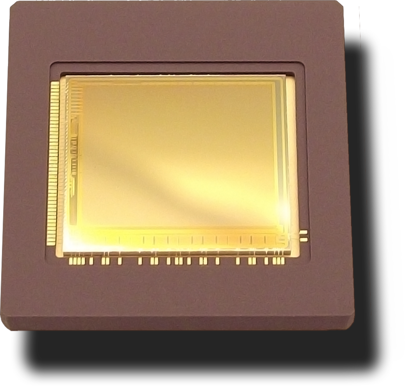 8 Lfw 9 Photonis 62fce0ad8b7ed