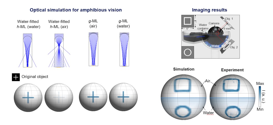 FIGURE 3. Optical simulation for amphibious vision.