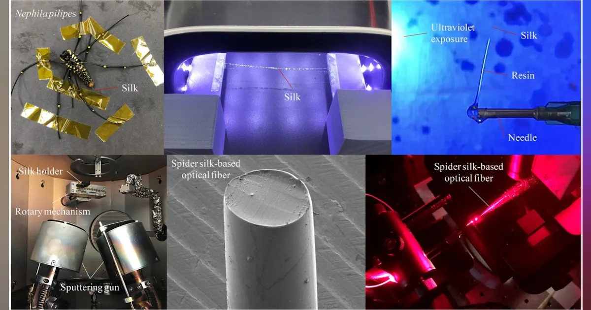Textile Bosensor Spinning silk into biosensors | Laser Focus World
