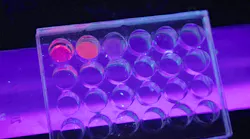 FIGURE 1. Red fluorescence of the Eu-MOF illuminates on a non-fluorescent porous plate under a UV lamp.