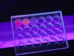 FIGURE 1. Red fluorescence of the Eu-MOF illuminates on a non-fluorescent porous plate under a UV lamp. FIGURE 1. Red fluorescence of the Eu-MOF illuminates on a non-fluorescent porous plate under a UV lamp.