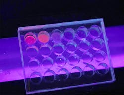 FIGURE 1. Red fluorescence of the Eu-MOF illuminates on a non-fluorescent porous plate under a UV lamp.