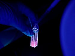 FIGURE 2. Fluorescent color changes can be observed in the test sample containing gallic acid when added to the quartz cuvette containing the Eu-MOF probe. FIGURE 2. Fluorescent color changes can be observed in the test sample containing gallic acid when added to the quartz cuvette containing the Eu-MOF probe.
