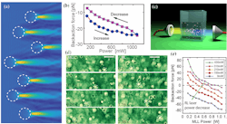 A photonic nanojet formed by 2-µm-diameter polymer microspheres (dashed lines) move together with the microsphere (a); force hysteresis on the polystyrene microparticle with a diameter of 5 μm (b); schematics of the counter-propagating beam setup pulling a dielectric particle from opposite sides (c); motion snapshots of live MB231 cancer cells under paired beams with a modelocked laser (left) or with a Raman laser (right, wavelength of 1.65 µm) dominant suggest opposite motion directions (d); and optical force for a polystyrene microsphere (15 µm diameter) as a function of the modelocked laser power with a fixed Raman laser (e). A photonic nanojet formed by 2-µm-diameter polymer microspheres (dashed lines) move together with the microsphere (a); force hysteresis on the polystyrene microparticle with a diameter of 5 μm (b); schematics of the counter-propagating beam setup pulling a dielectric particle from opposite sides (c); motion snapshots of live MB231 cancer cells under paired beams with a modelocked laser (left) or with a Raman laser (right, wavelength of 1.65 µm) dominant suggest opposite motion directions (d); and optical force for a polystyrene microsphere (15 µm diameter) as a function of the modelocked laser power with a fixed Raman laser (e).