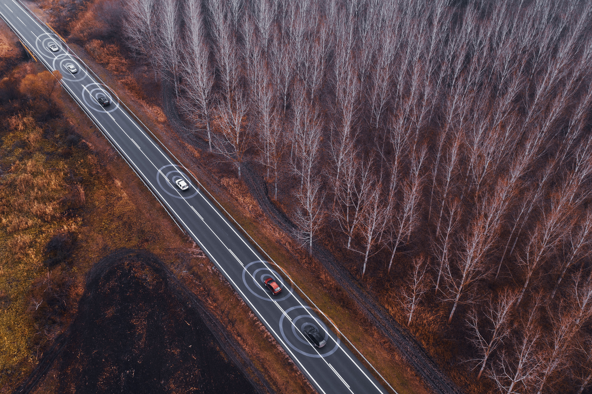 Dreamstime Xl 168835996 6320c2e6145de