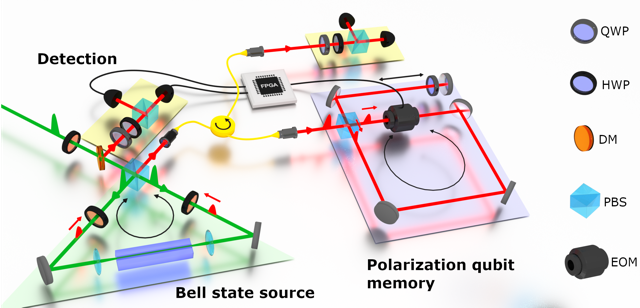 FIGURE 1. Schematic of the experimental setup. Both the Bell state source and polarization qubit memory are realized as all-optical loops. Polarization-resolved detection of one photon triggers the FPGA (center of the picture), which in turn controls the quantum memory by acting on an electro-optic modulator. At the output of the memory, the photons&rsquo; polarization is detected. QWP: quarter-wave plate; HWP: half-wave plate; DM: dichroic mirror; PBS: polarizing beam splitter; EOM: electro-optic modulator.