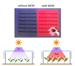 Schematic of WCM film converting UV light to red light (left) and molecular structure of film components (right). (b) Photos of plastic sheets with and without WCM coating (top); a schematic of WCM film converting UV light to red light (bottom). Schematic of WCM film converting UV light to red light (left) and molecular structure of film components (right). (b) Photos of plastic sheets with and without WCM coating (top); a schematic of WCM film converting UV light to red light (bottom).