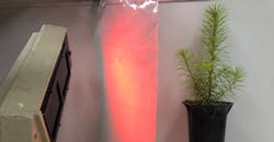 The new Eu3+-based WCM film converting UV light to red light. The new Eu3+-based WCM film converting UV light to red light.