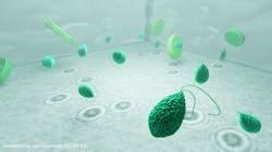 Illustrations showing microplanktons (green) being imaged with a holographic microscope. The holograms (shown at the bottom) act as a unique fingerprint of the microplankton dry mass and vertical distance. Illustrations showing microplanktons (green) being imaged with a holographic microscope. The holograms (shown at the bottom) act as a unique fingerprint of the microplankton dry mass and vertical distance.