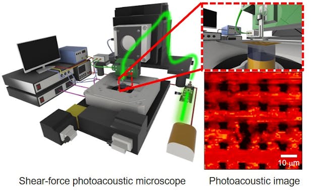 FIGURE 2. Shear-force photoacoustic microscopy acquires super-resolution images of cells, including red blood cells.