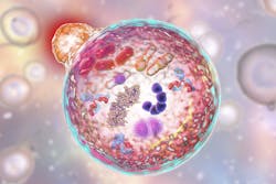 Cell Metabolism 636bf8ed98892 Cell Metabolism 636bf8ed98892