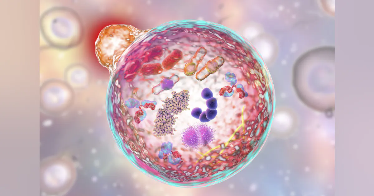 Baseimmune Activating immune cell metabolism via solid-state sensors | Laser Focus ...