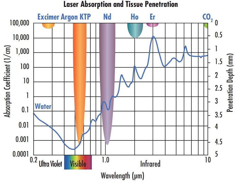 FIGURE 1. Absorption of water and tissue penetration depth at different wavelengths.