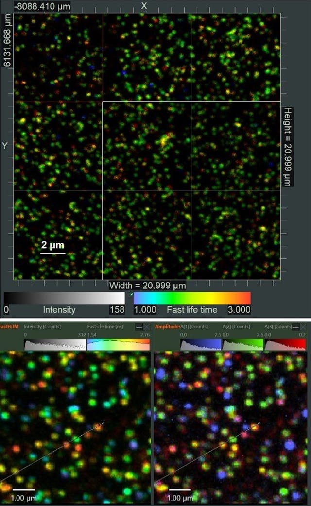 FIGURE 4. Single DNA origamis labeled with Cy3B and Atto647N immobilized on surface are shown (left); an area of 21 &times; 21 &micro;m was imaged with 9 tiles stitched together. FLIM analysis results of a single image tile (right), average lifetime on the left and multiexponential fitting overlay on the right.
