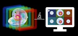 FIGURE 1. The new microscope re-distributes light from a volume such that many depths are imaged simultaneously next to each other, allowing a fast camera to record the entire volume in a single shot. FIGURE 1. The new microscope re-distributes light from a volume such that many depths are imaged simultaneously next to each other, allowing a fast camera to record the entire volume in a single shot.