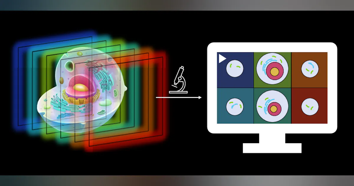 Next Microscope Next-generation microscope boosts opportunities | Laser Focus World
