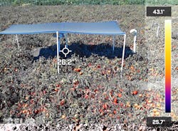 Testing of tomatoes in an agrivoltaic system. Testing of tomatoes in an agrivoltaic system.