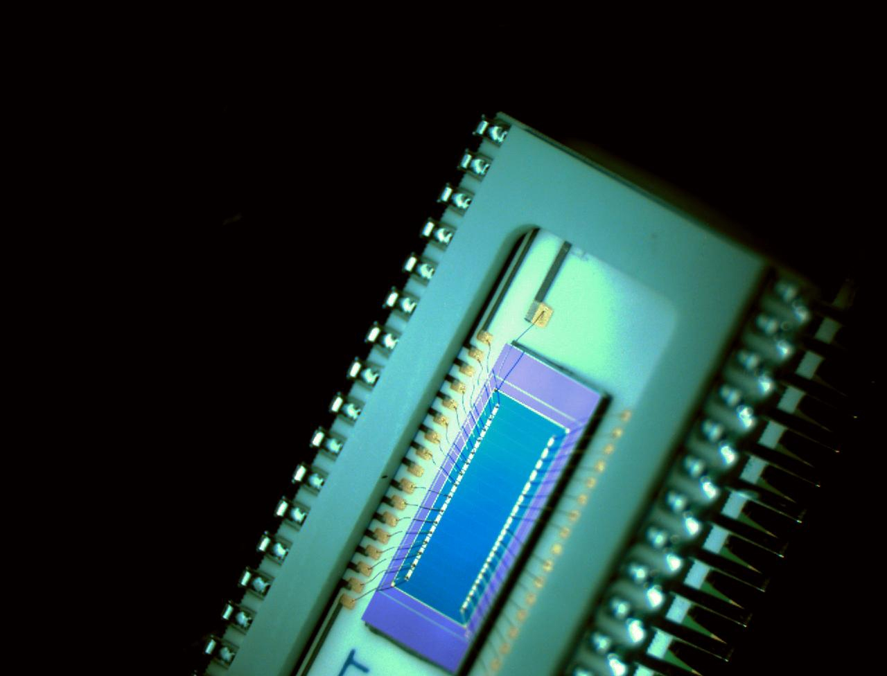 8 Lfw 2 Sitek 63a35c6cbc4d5