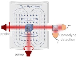 FIGURE 1. The NASDUCK Floquet quantum detector for ultralight axion-like dark matter contains a strong, magnetically driven Floquet field, BF, which interacts with the background dark matter halo of the Milky Way. Inside the chamber a small cubical glass cell containing dense spin-polarized 129Xe gas and 85Rb vapor acts as an in situ precision optical magnetometer. One laser optically pumps the spins of Rb atoms while a second laser probes the coherent spin oscillations that can be generated by a non-gravitational interaction with the axion-like dark matter particles. The results help constrain the mass limits of dark-matter particles in interactions with other particles. FIGURE 1. The NASDUCK Floquet quantum detector for ultralight axion-like dark matter contains a strong, magnetically driven Floquet field, BF, which interacts with the background dark matter halo of the Milky Way. Inside the chamber a small cubical glass cell containing dense spin-polarized 129Xe gas and 85Rb vapor acts as an in situ precision optical magnetometer. One laser optically pumps the spins of Rb atoms while a second laser probes the coherent spin oscillations that can be generated by a non-gravitational interaction with the axion-like dark matter particles. The results help constrain the mass limits of dark-matter particles in interactions with other particles.