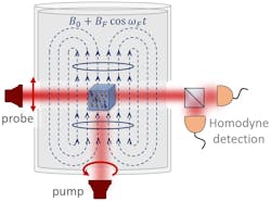FIGURE 1. The NASDUCK Floquet quantum detector for ultralight axion-like dark matter contains a strong, magnetically driven Floquet field, BF, which interacts with the background dark matter halo of the Milky Way. Inside the chamber a small cubical glass cell containing dense spin-polarized 129Xe gas and 85Rb vapor acts as an in situ precision optical magnetometer. One laser optically pumps the spins of Rb atoms while a second laser probes the coherent spin oscillations that can be generated by a non-gravitational interaction with the axion-like dark matter particles. The results help constrain the mass limits of dark-matter particles in interactions with other particles. FIGURE 1. The NASDUCK Floquet quantum detector for ultralight axion-like dark matter contains a strong, magnetically driven Floquet field, BF, which interacts with the background dark matter halo of the Milky Way. Inside the chamber a small cubical glass cell containing dense spin-polarized 129Xe gas and 85Rb vapor acts as an in situ precision optical magnetometer. One laser optically pumps the spins of Rb atoms while a second laser probes the coherent spin oscillations that can be generated by a non-gravitational interaction with the axion-like dark matter particles. The results help constrain the mass limits of dark-matter particles in interactions with other particles.