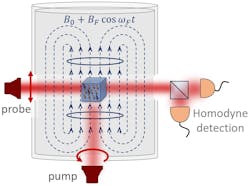 FIGURE 1. The NASDUCK Floquet quantum detector for ultralight axion-like dark matter contains a strong, magnetically driven Floquet field, BF, which interacts with the background dark matter halo of the Milky Way. Inside the chamber a small cubical glass cell containing dense spin-polarized 129Xe gas and 85Rb vapor acts as an in situ precision optical magnetometer. One laser optically pumps the spins of Rb atoms while a second laser probes the coherent spin oscillations that can be generated by a non-gravitational interaction with the axion-like dark matter particles. The results help constrain the mass limits of dark-matter particles in interactions with other particles.