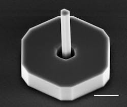 FIGURE 2. Scanning electron microscope image of an actual fabricated coupled laser system. Scale bar is 1 µm. The system was grown by the selective area epitaxy technique using a metal-organic chemical vapor deposition system. FIGURE 2. Scanning electron microscope image of an actual fabricated coupled laser system. Scale bar is 1 µm. The system was grown by the selective area epitaxy technique using a metal-organic chemical vapor deposition system.
