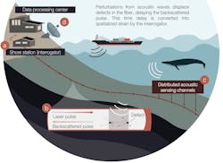 FIGURE 1. A schematic demonstrating distributed acoustic sensing for detecting and monitoring marine life. FIGURE 1. A schematic demonstrating distributed acoustic sensing for detecting and monitoring marine life.