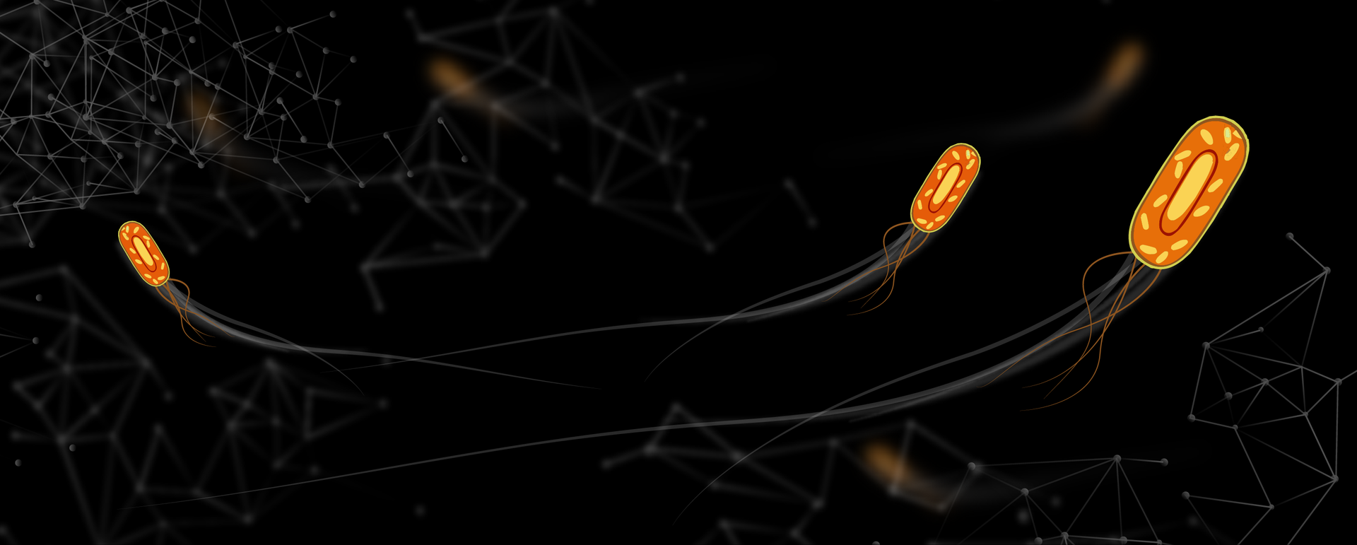 FIGURE 1. A depiction of cells exploring a landscape composed of graph networks.