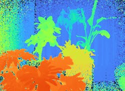 2305 Lfw Fre 1b 641afb19c53d6 2305 Lfw Fre 1b 641afb19c53d6