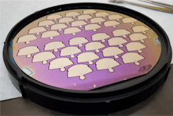 This shot shows several PEACOQ detectors shortly after being printed on a silicon wafer. This shot shows several PEACOQ detectors shortly after being printed on a silicon wafer.