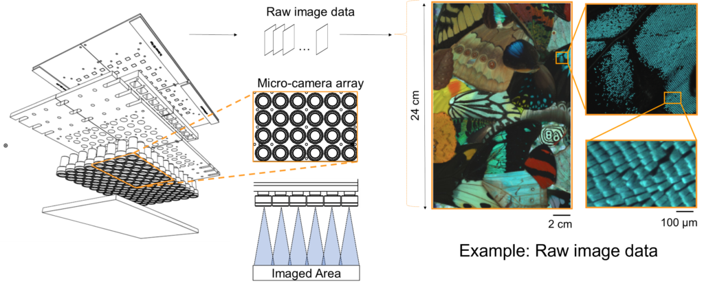 The multi-camera array microscope is essentially an array of many miniaturized digital microscopes, which acquire synchronized video in parallel. A variety of algorithms allow the researchers to fuse the video data acquired by the microscope into final gigapixel-scale composites.