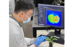 Researchers’ continued study of plant hormones are paving the way for breakthroughs in agricultural science and may have implications for global food security. Researchers’ continued study of plant hormones are paving the way for breakthroughs in agricultural science and may have implications for global food security.