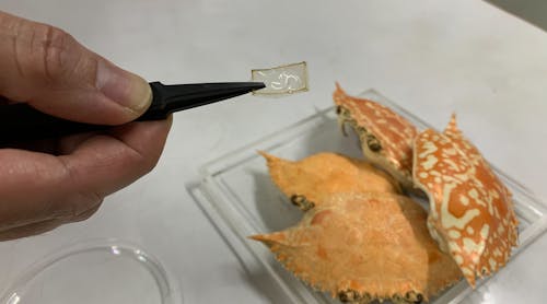 FIGURE 1. A new process that turns crab shells into a bioplastic can be used to make optical components such as diffraction gratings (shown in the tweezers).