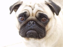 865747 46618975 64341757a14f7 865747 46618975 64341757a14f7