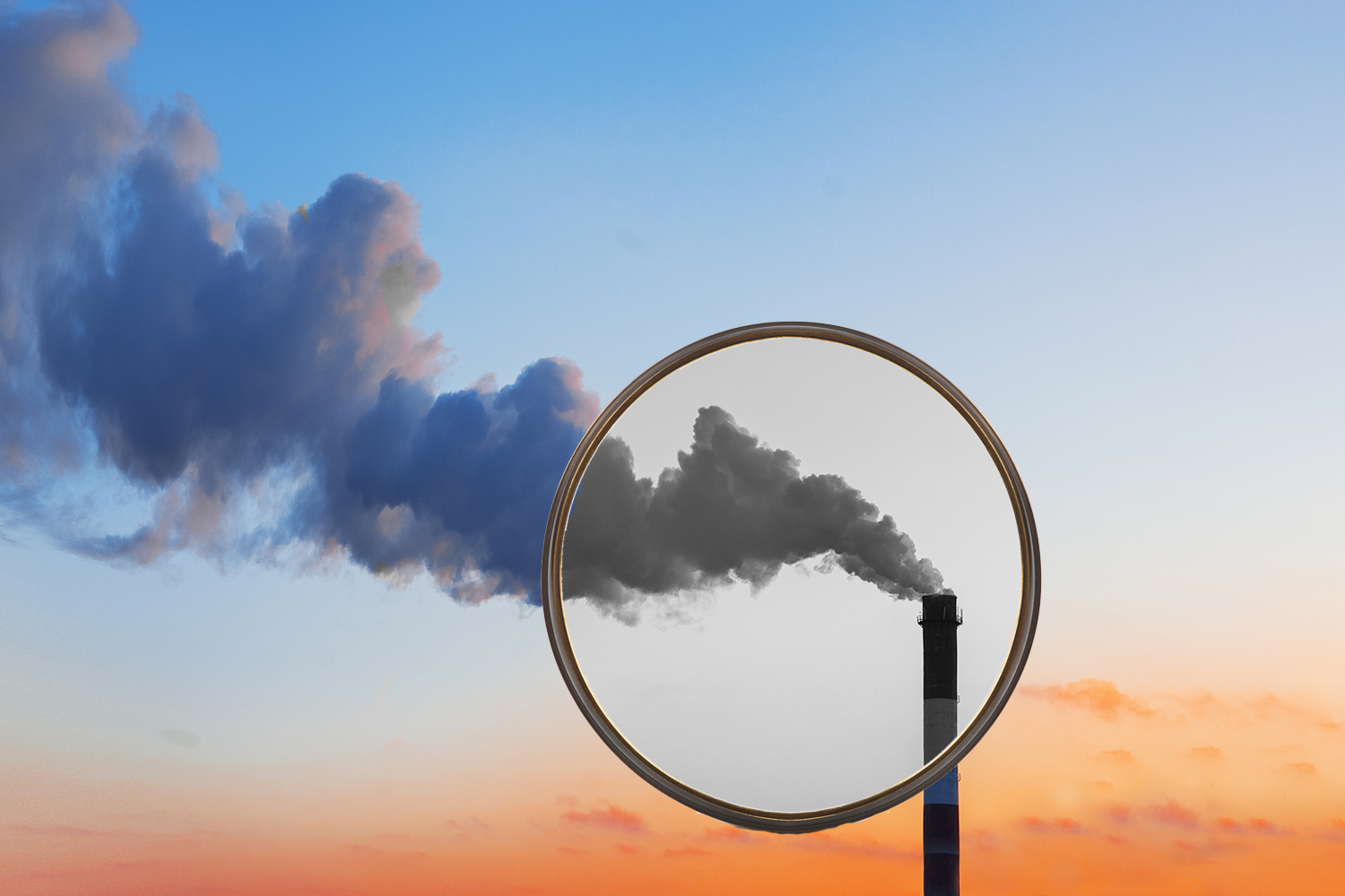 Omega Optical Holdings 6436c5305eaaa