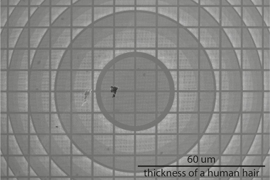 FIGURE 1. Scanning electron micrograph of the new extreme ultraviolet (EUV) metalens.