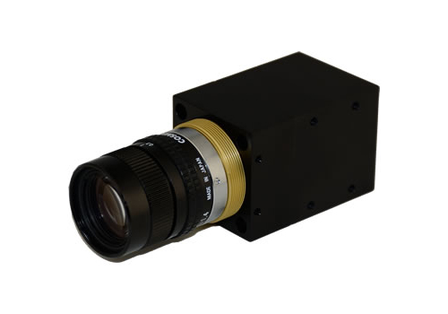 Sv 1820 Gold Ring 350