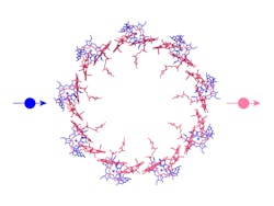FIGURE 1. Simplified cartoon illustration of the experiments, in which a single photon (blue dot) hits a LH2 complex and gets absorbed and then a fluorescent single photon (red dot) is emitted after the absorbed energy flows inside LH2. FIGURE 1. Simplified cartoon illustration of the experiments, in which a single photon (blue dot) hits a LH2 complex and gets absorbed and then a fluorescent single photon (red dot) is emitted after the absorbed energy flows inside LH2.