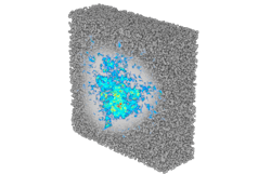 FIGURE 1. Image of an electromagnetic wave trapped inside a disordered metal. FIGURE 1. Image of an electromagnetic wave trapped inside a disordered metal.