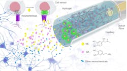 FIGURE 1. Schematic of neurochemical sensing in vivo with FOPECs. FIGURE 1. Schematic of neurochemical sensing in vivo with FOPECs.