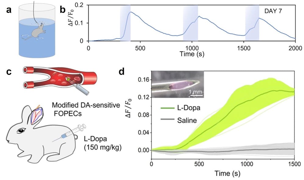 FIGURE 2. Real-time monitoring of neurochemicals with FOPECs in various animals and organs.