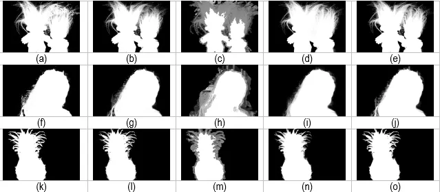 Unveiling the art of image matting: Techniques and applications | Laser ...