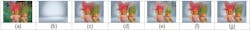 FIGURE 4. The original image (a), background image (b) and composite images (c) for affinity-based matting, sampling based matting (d), Gaussian matting (e), learning-based matting (f), and weighted color texture-based matting (g) are shown. FIGURE 4. The original image (a), background image (b) and composite images (c) for affinity-based matting, sampling based matting (d), Gaussian matting (e), learning-based matting (f), and weighted color texture-based matting (g) are shown.