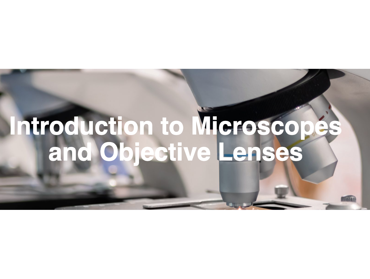 Screen Shot 2023 07 03 At 4 09 25 Pm