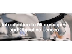 Screen Shot 2023 07 03 At 4 09 25 Pm 64a32b2ecd957 Screen Shot 2023 07 03 At 4 09 25 Pm 64a32b2ecd957