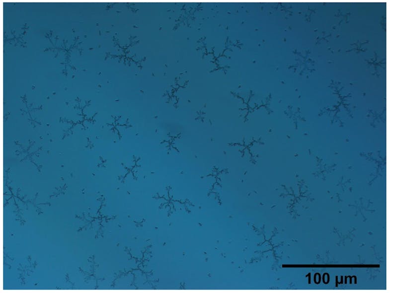 FIGURE 5. Example of UV-exposure-induced contamination on an uncoated fused silica window. However, this image was captured after 6 weeks of ~3 W UV laser illumination, which is a different use case than Danfoss IXA&rsquo;s gas analyzer, but it serves to illustrate the type of UV contamination that can occur. [3]