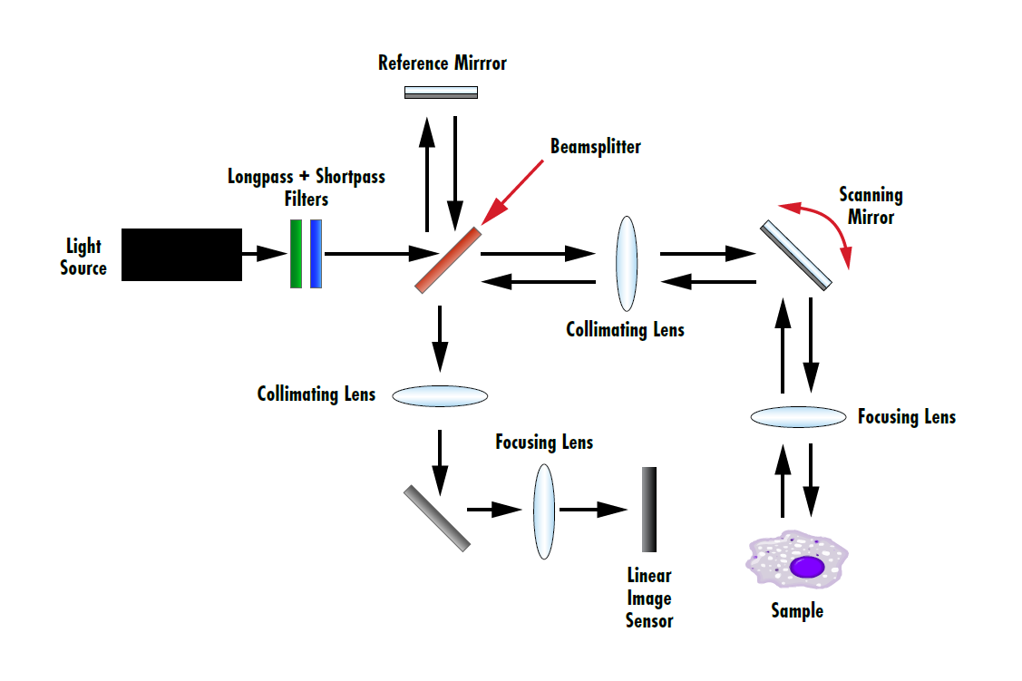 FIGURE 3. Beam path diagram for SD-OCT.